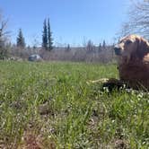 Review photo of St Mary Campground - Glacier National Park — Glacier National Park by Jensen S., May 13, 2026