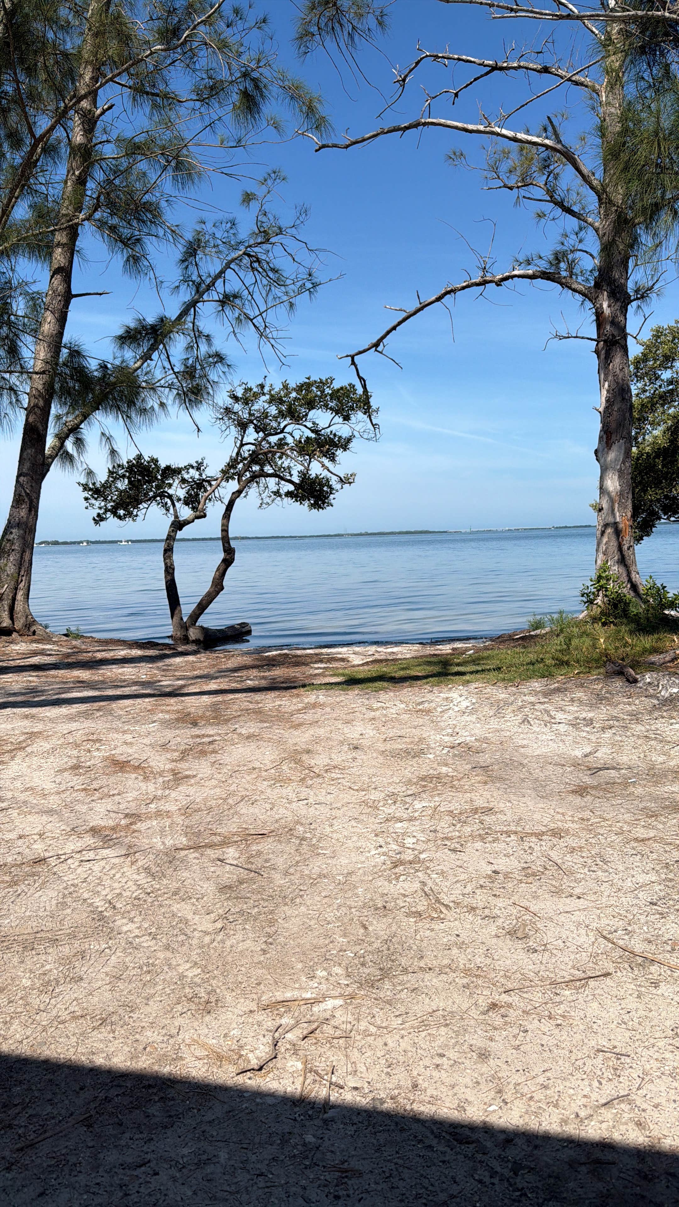 Camper-submitted photo at St. Pete rest area (north) near Apollo Beach, FL