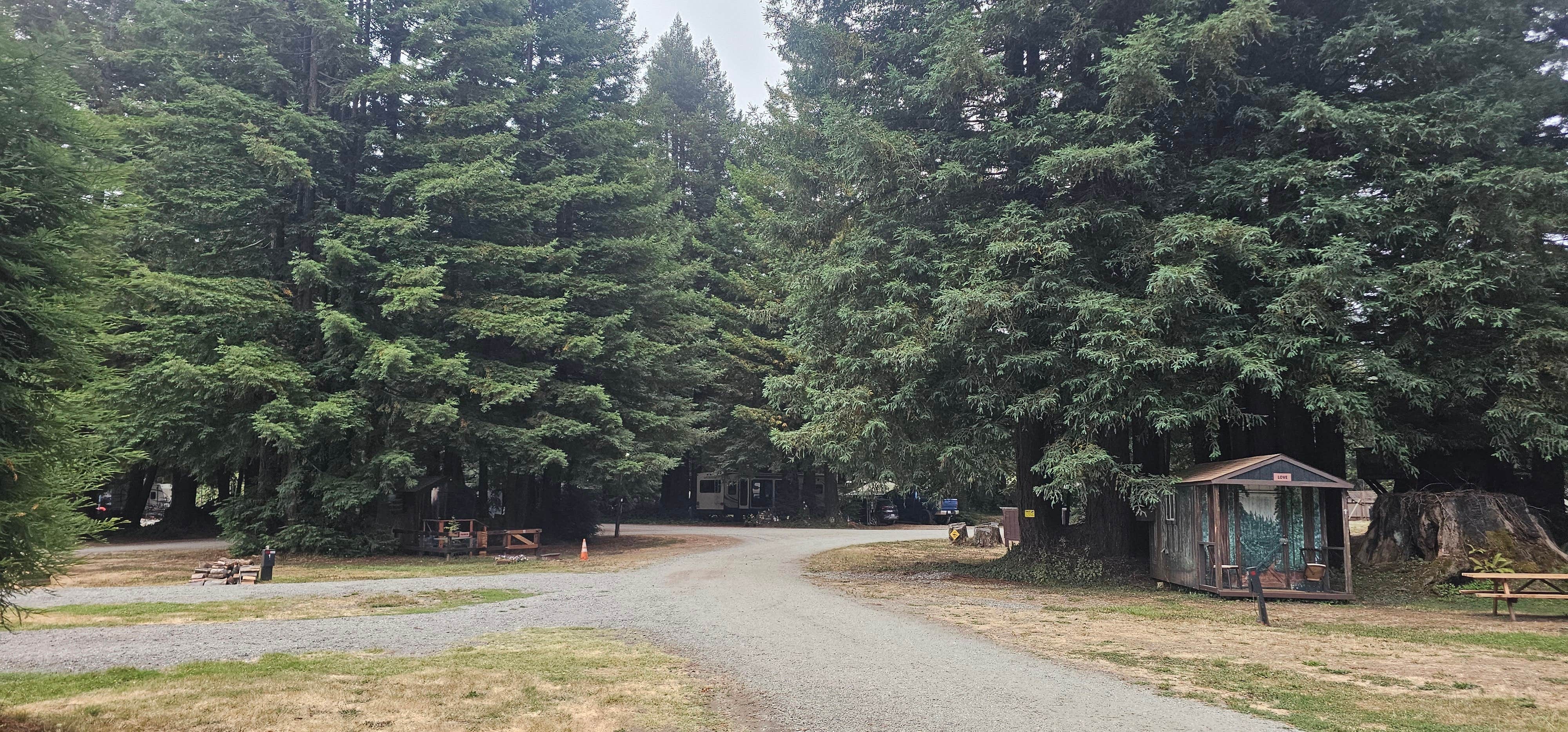 Camper-submitted photo at Stafford RV Park near Carlotta, CA