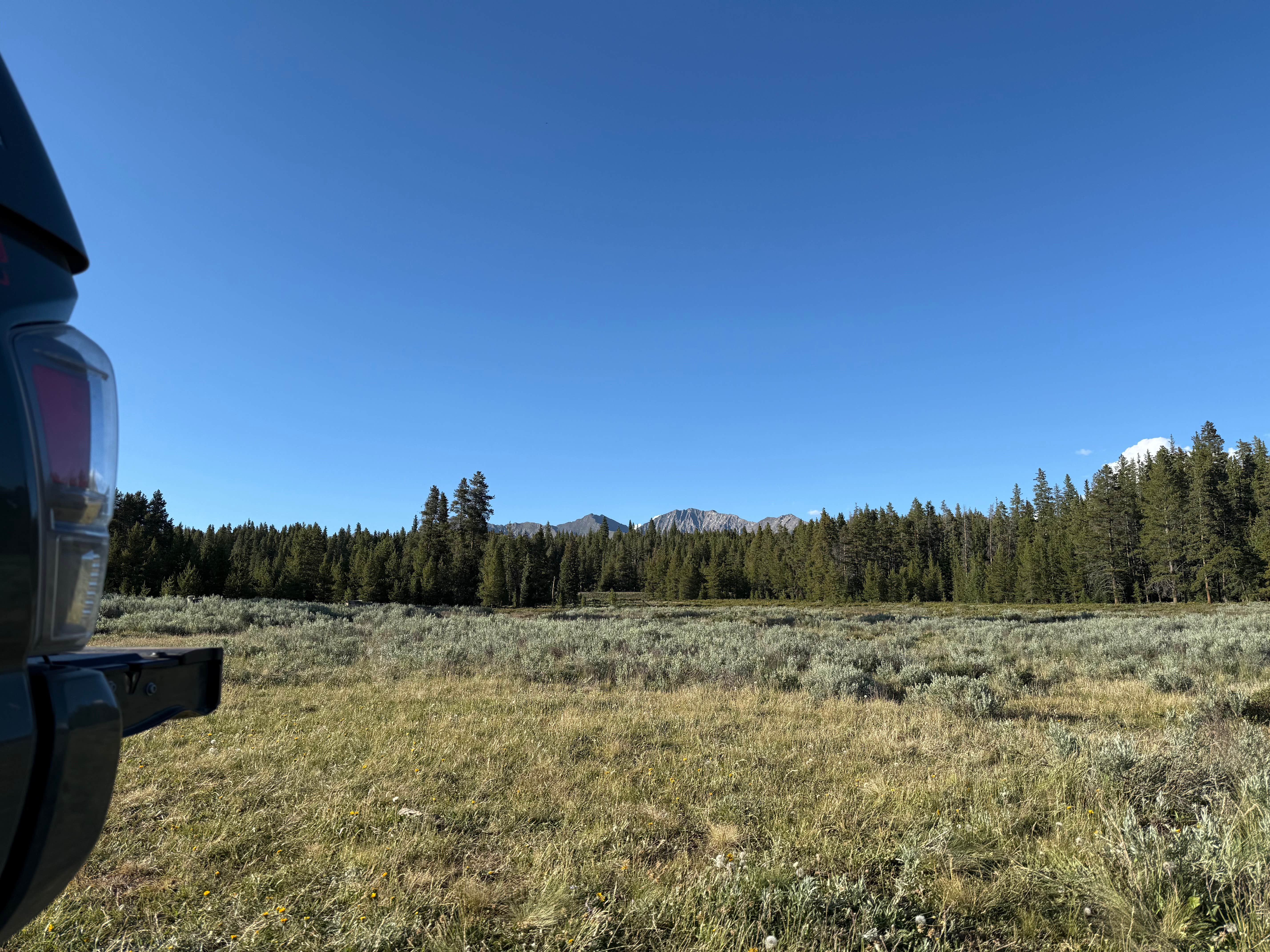 Camping near Lakeview Gunnison: Stage Stop Meadows Dispersed, Pitkin, Colorado