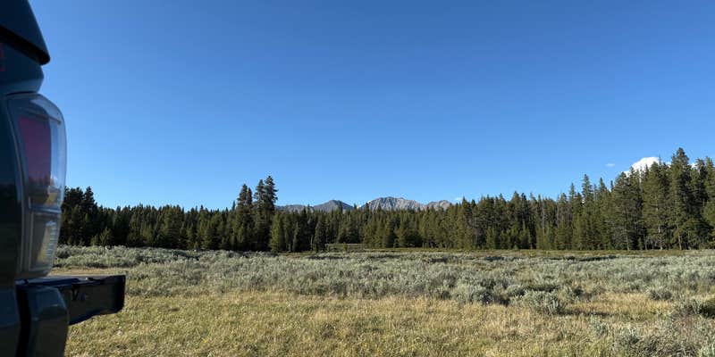 Camper submitted image from Stage Stop Meadows Dispersed