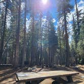 Review photo of Stanislaus National Forest Pine Marten Campground by Jolean D., September 21, 2025