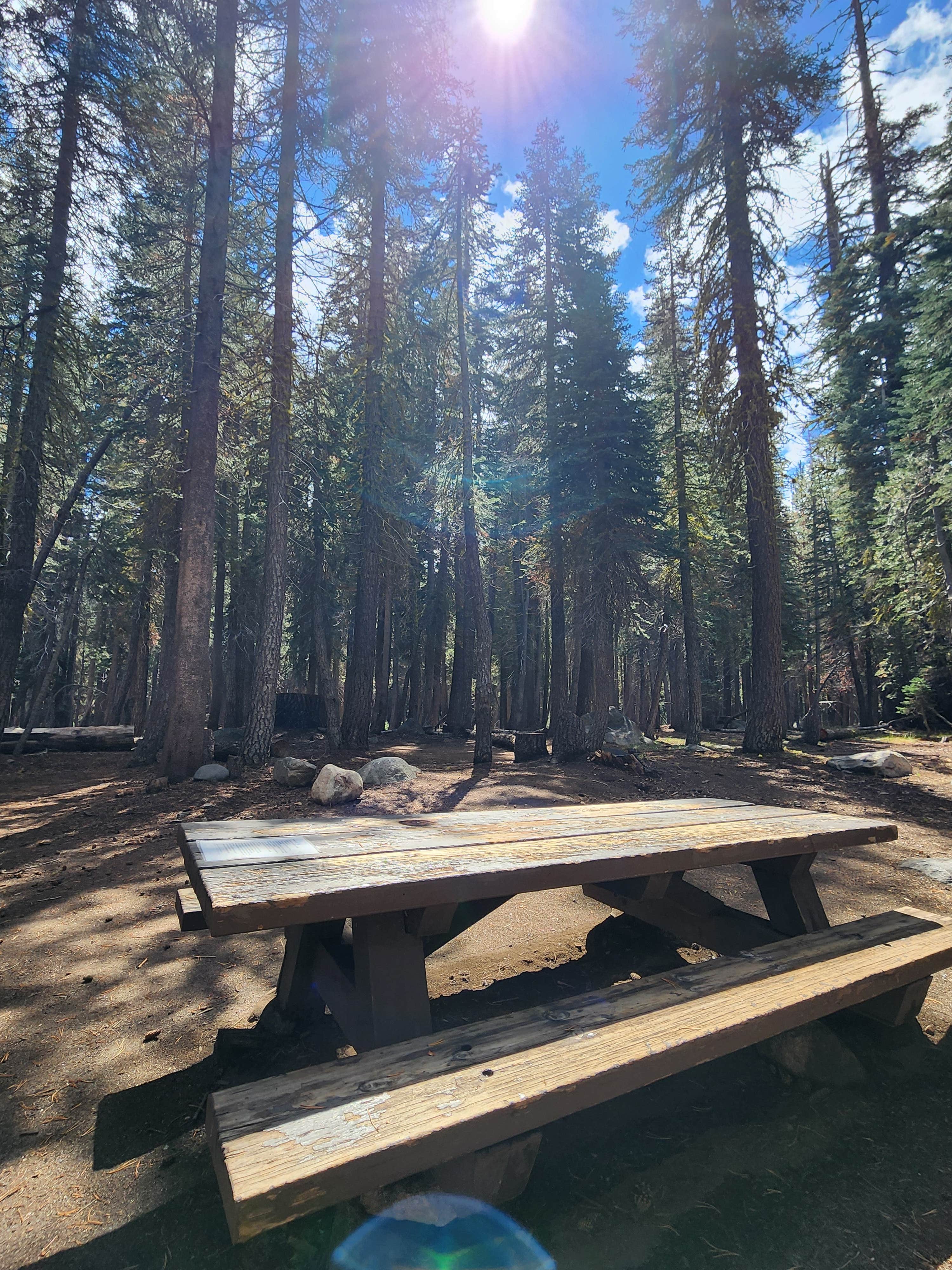 Camper submitted image from Stanislaus National Forest Pine Marten Campground - 2