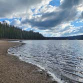 Review photo of Stanislaus National Forest Pine Marten Campground by Jolean D., September 21, 2025
