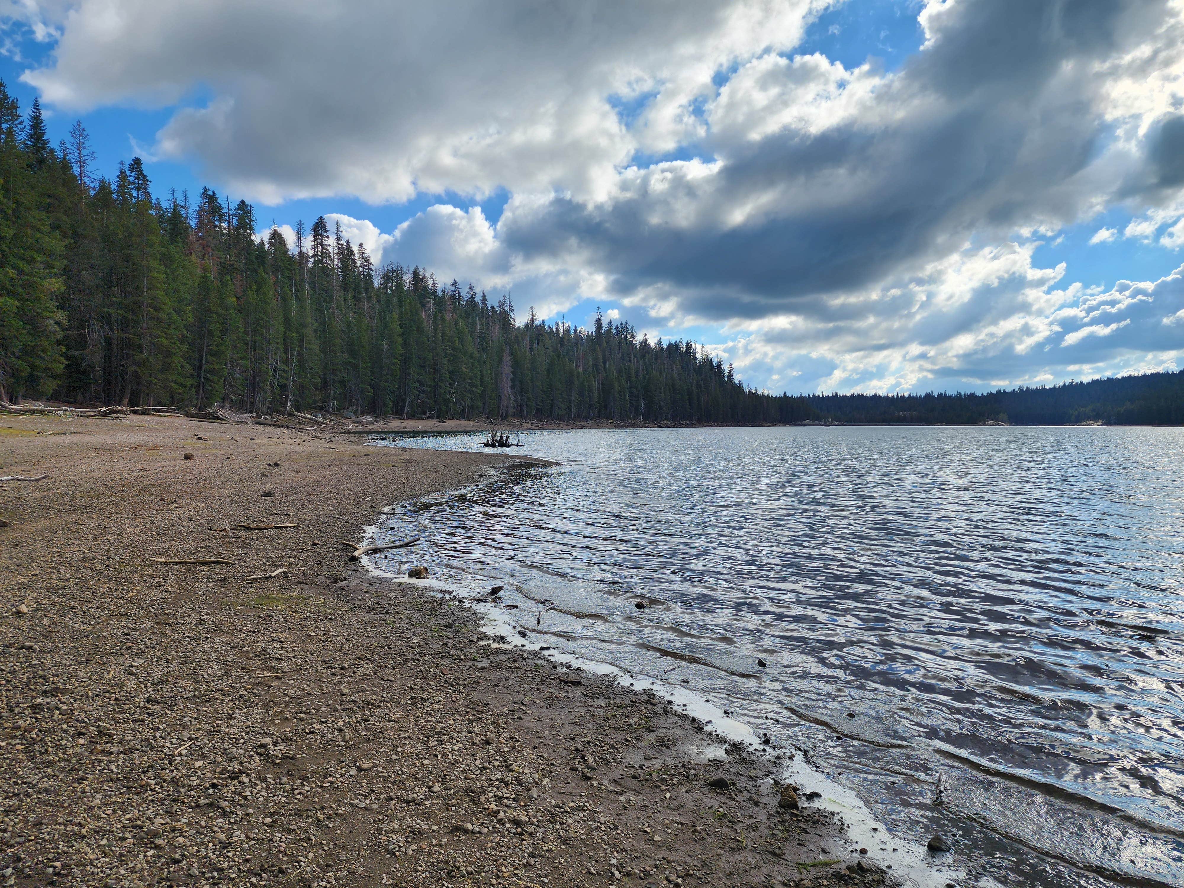 Camper submitted image from Stanislaus National Forest Pine Marten Campground - 3