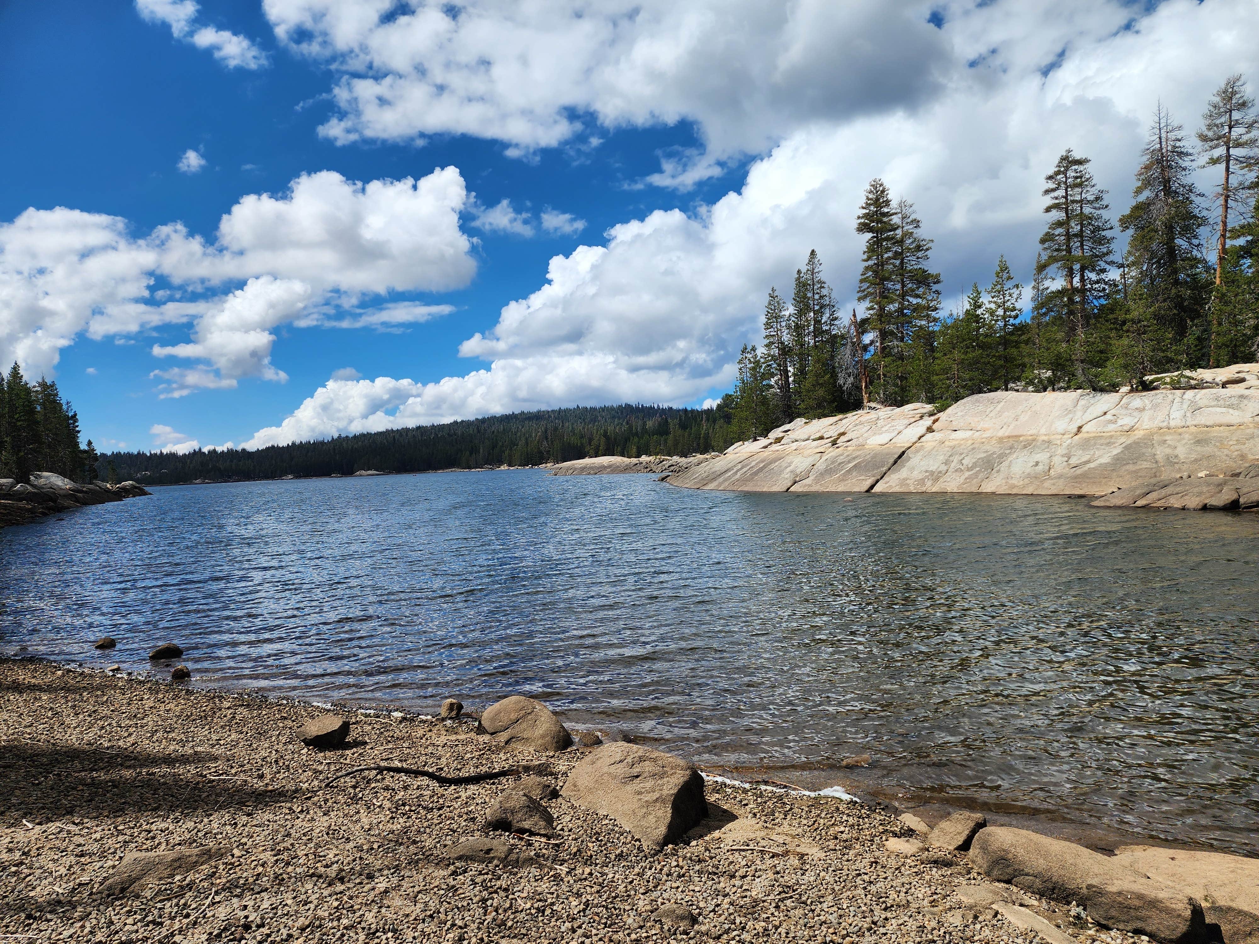 Camper submitted image from Stanislaus National Forest Pine Marten Campground - 1