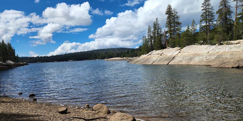 Camper submitted image from Stanislaus National Forest Pine Marten Campground