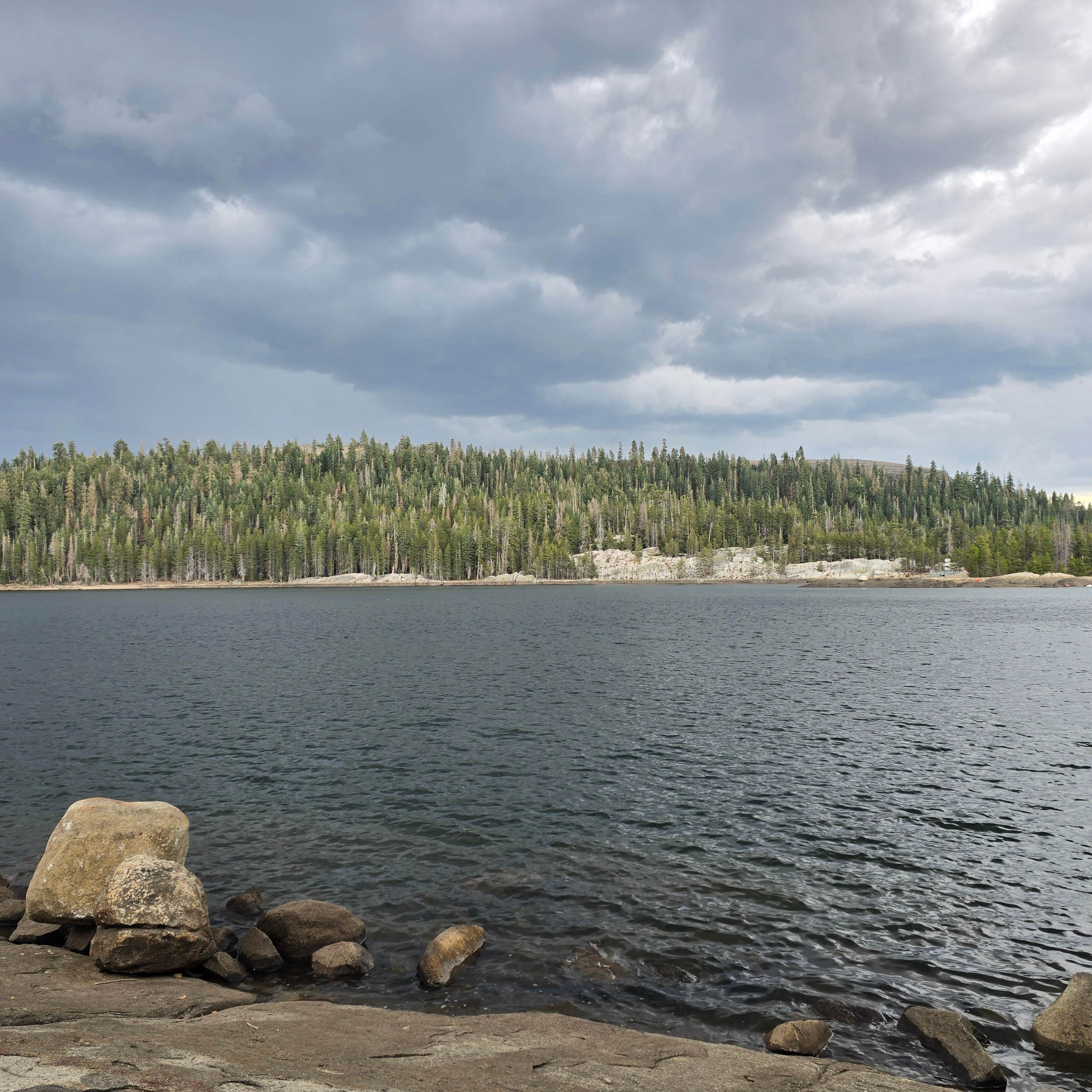 Camping near Utica/Union Reservoirs: Silver Valley, Bear Valley, California