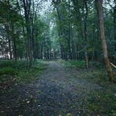 Review photo of STAR LEE FARM by Tiana S., July 13, 2025