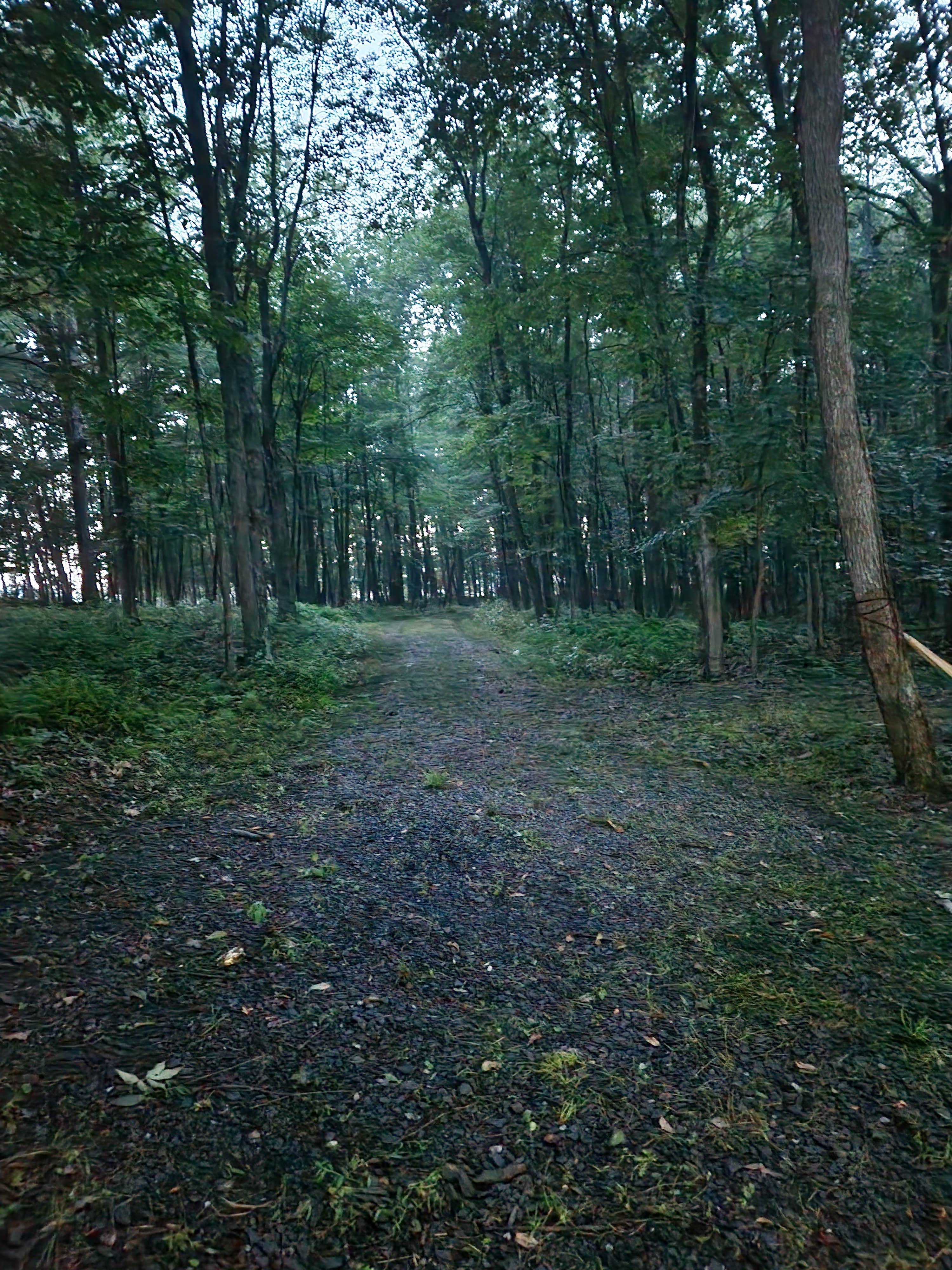 Camper submitted image from STAR LEE FARM - 4