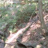 Review photo of Starved Rock Campground — Starved Rock State Park by Fred R., July 20, 2025