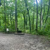 Review photo of Starved Rock Campground — Starved Rock State Park by Scott D., June 5, 2025