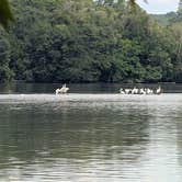 Review photo of Starved Rock Campground — Starved Rock State Park by Kristina P., August 28, 2026