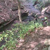 Review photo of Starved Rock Campground — Starved Rock State Park by Fred R., July 20, 2025