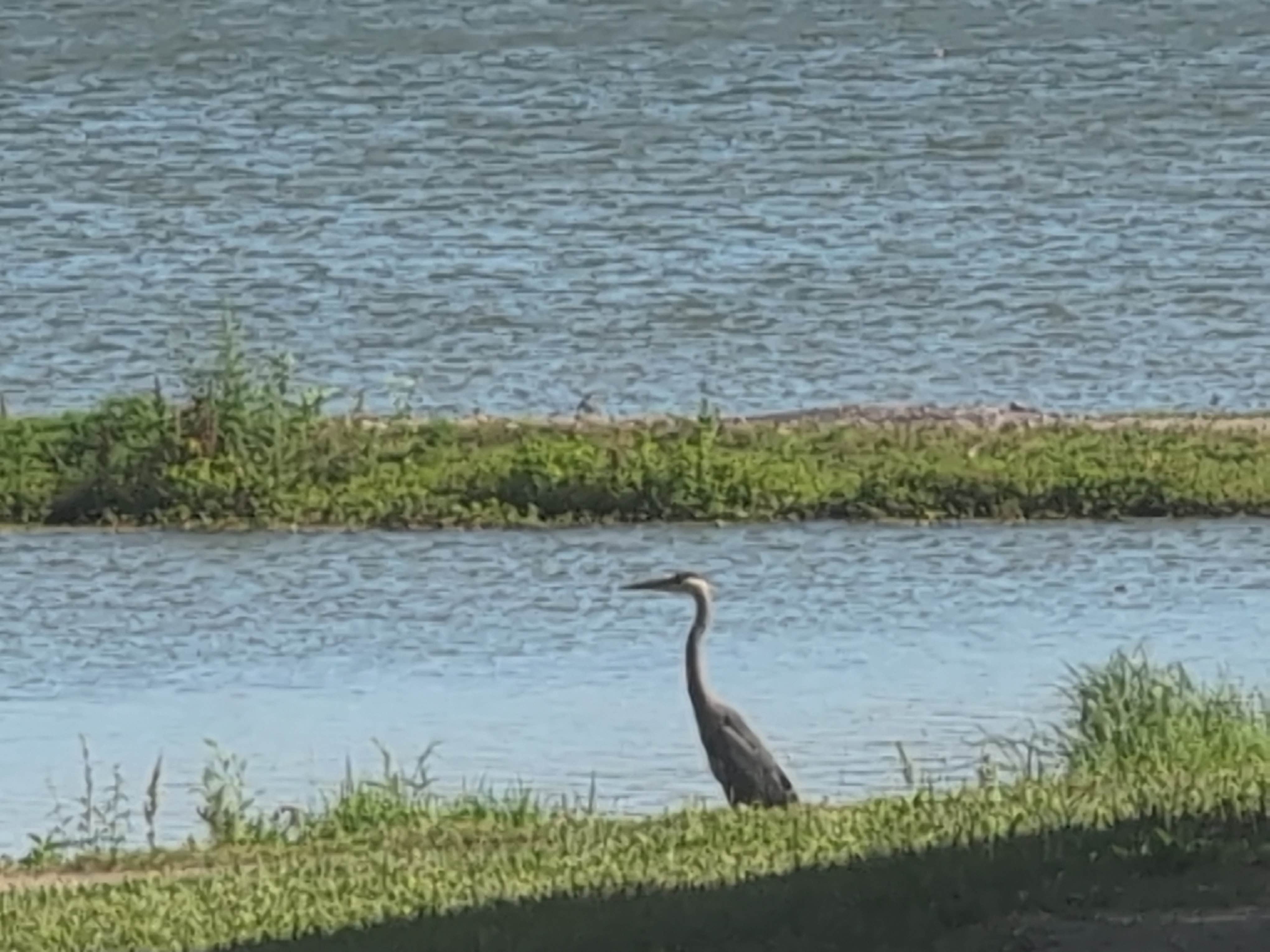 Camper-submitted photo at Atchison State Fishing Lake near De Kalb, MO