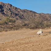 Review photo of State land trust/Inspiration Point by Gregg T., December 27, 2024