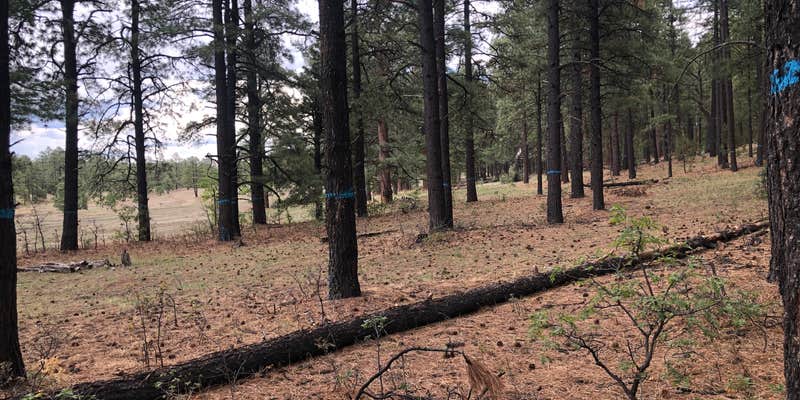 Camper submitted image from State Line