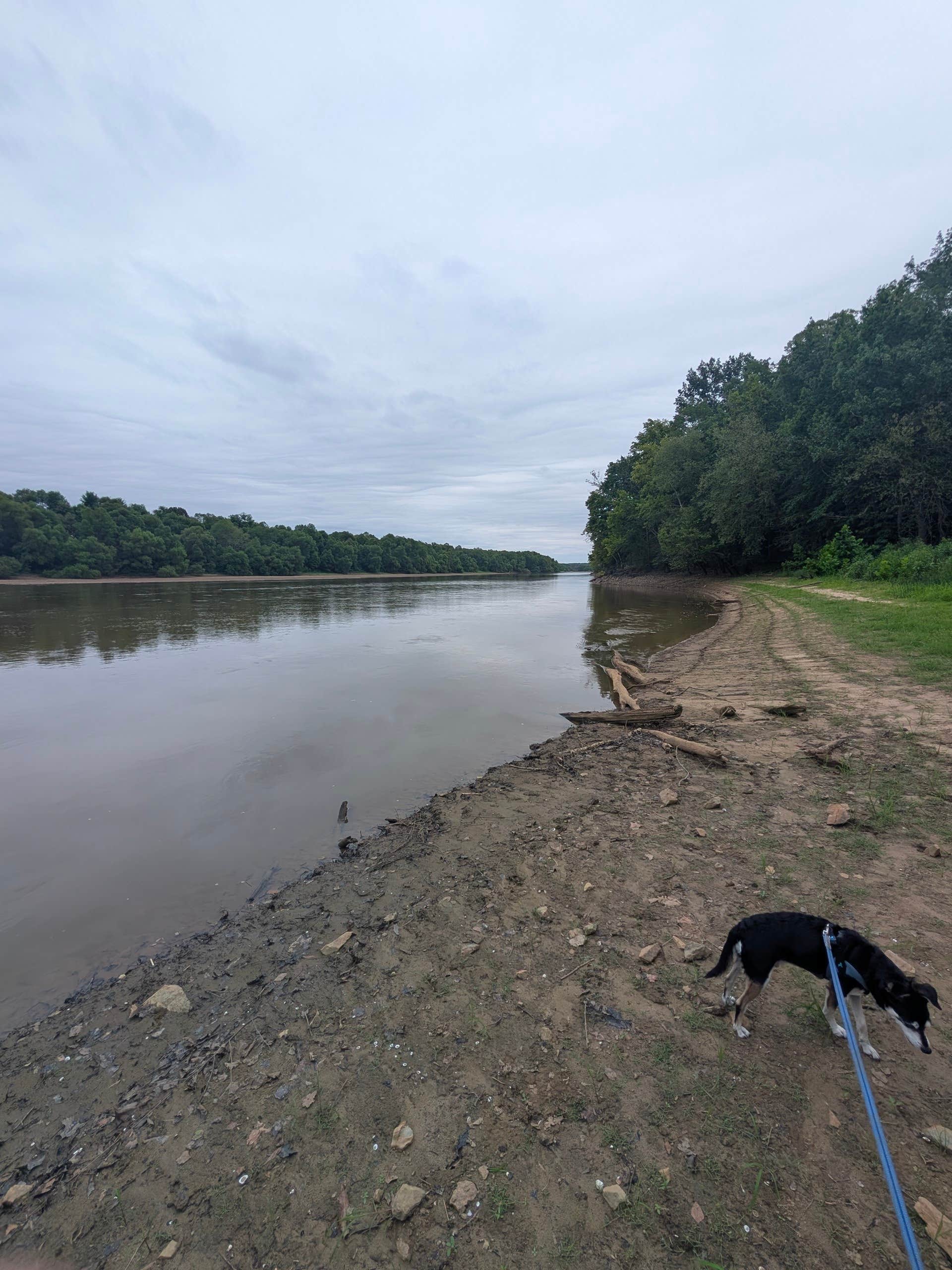 Bob B.'s photo of camping with pets at Staunton River State Park Campground near Henrico, VA