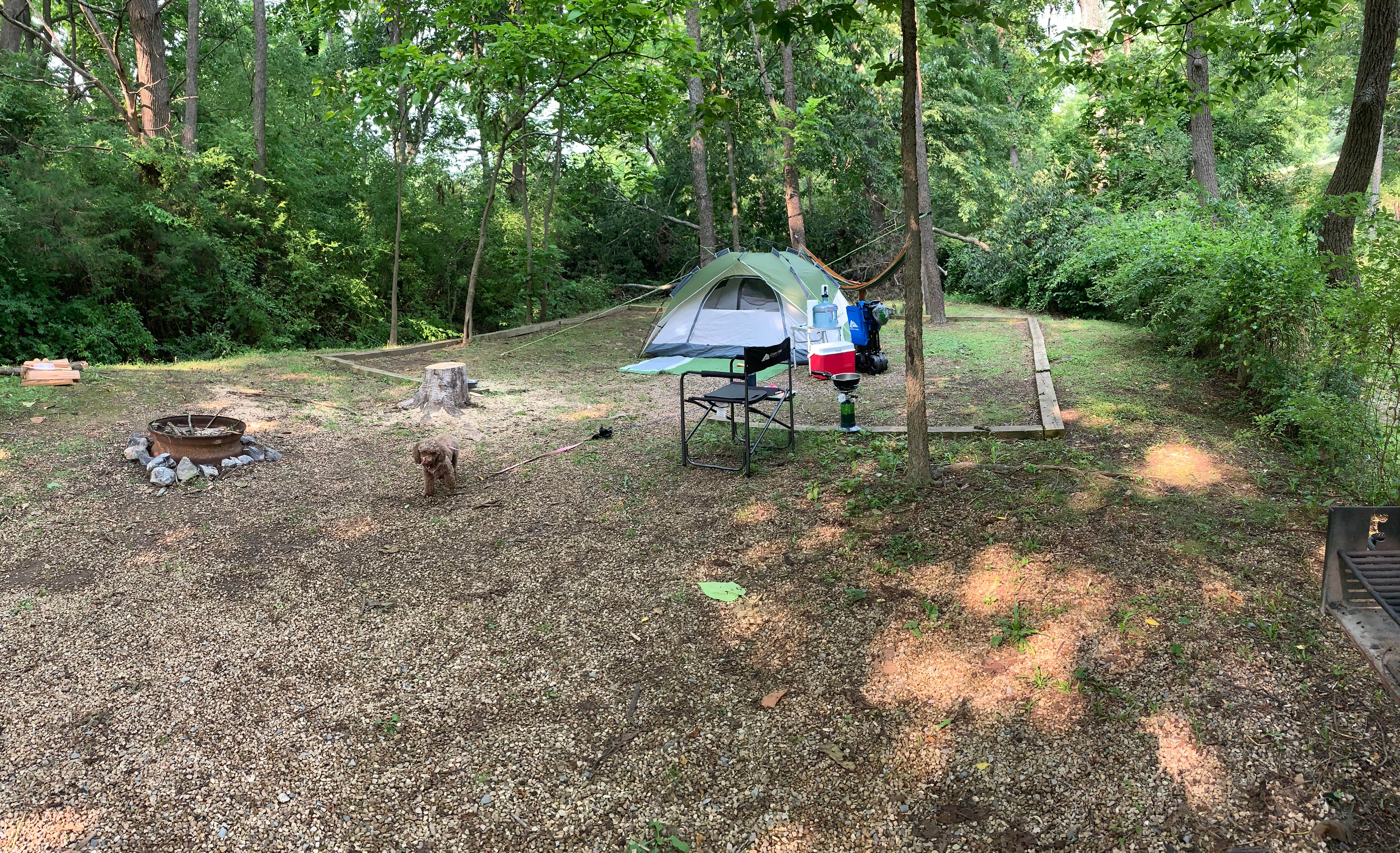 Katherine C.'s photo of camping with pets at Walnut Hills Campground & RV Park near Tyro, VA