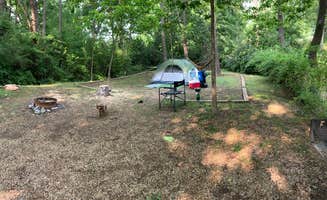 Katherine C.'s photo of camping with pets at Walnut Hills Campground & RV Park near Montebello, VA