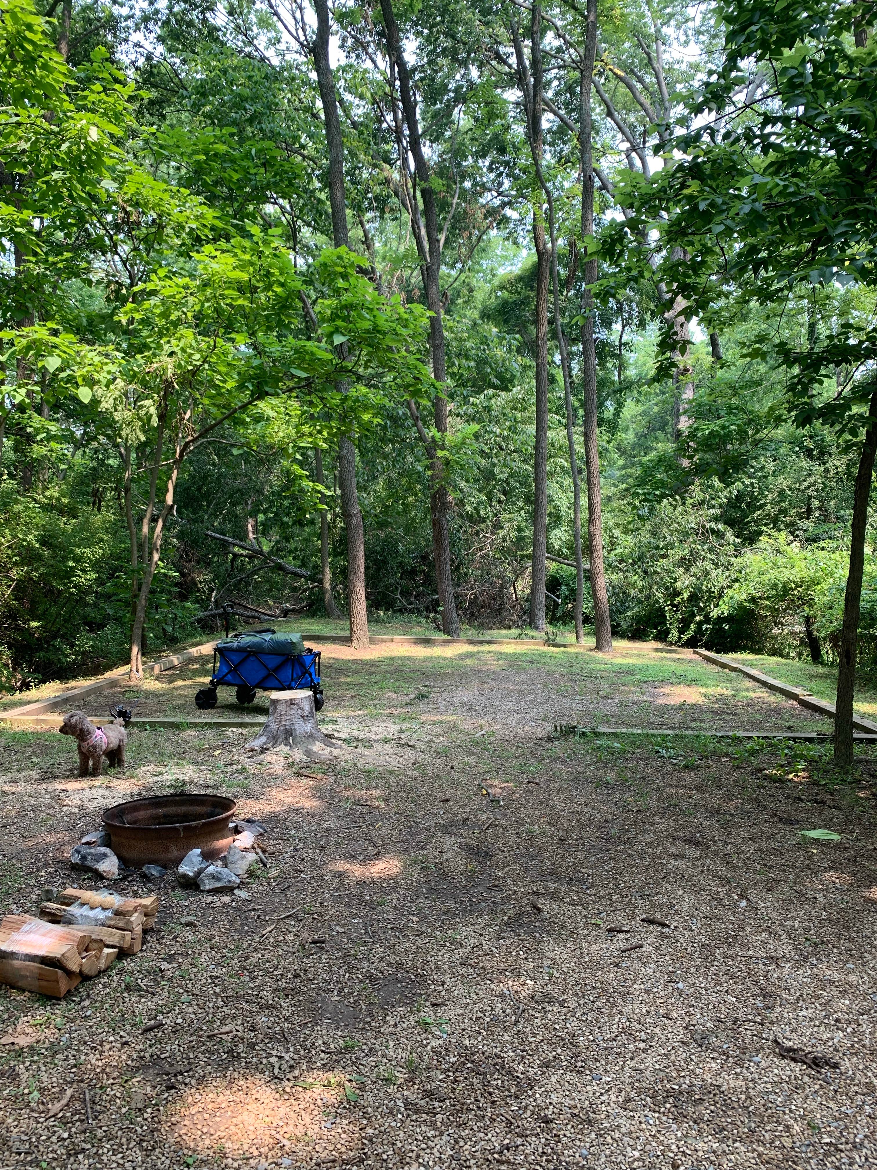Katherine C.'s photo of camping with pets at Walnut Hills Campground & RV Park near Mount Solon, VA