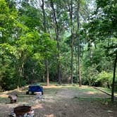 Review photo of Walnut Hills Campground & RV Park by Katherine C., July 24, 2023