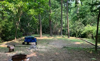 Katherine C.'s photo of camping with pets at Walnut Hills Campground & RV Park near George Washington & Jefferson National Forests
