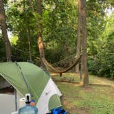 Review photo of Walnut Hills Campground & RV Park by Katherine C., July 24, 2023