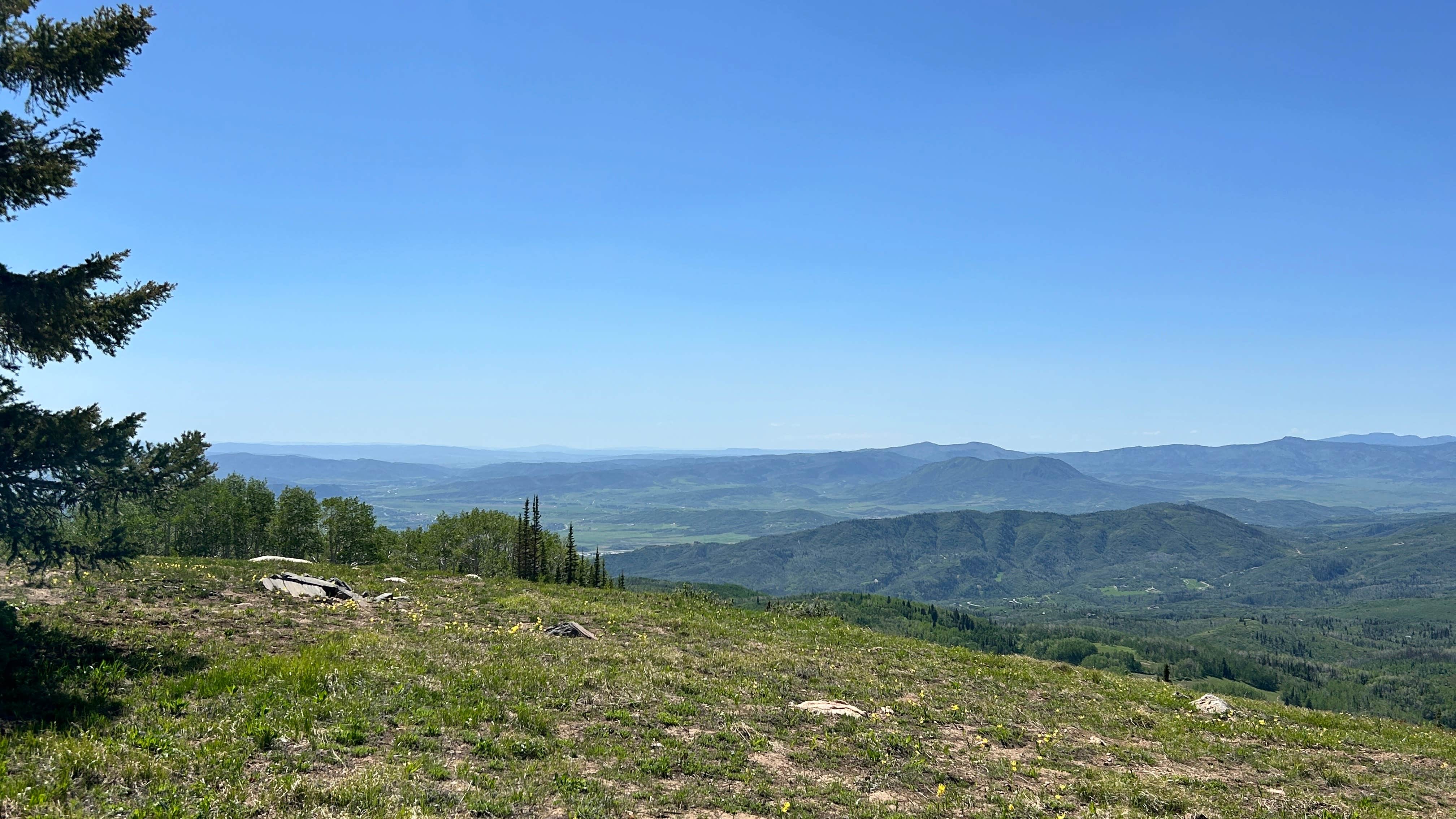 Camper submitted image from Steamboat Springs Colorado Dispersed Camping - 1