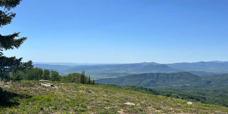 Camper submitted image from Steamboat Springs Colorado Dispersed Camping