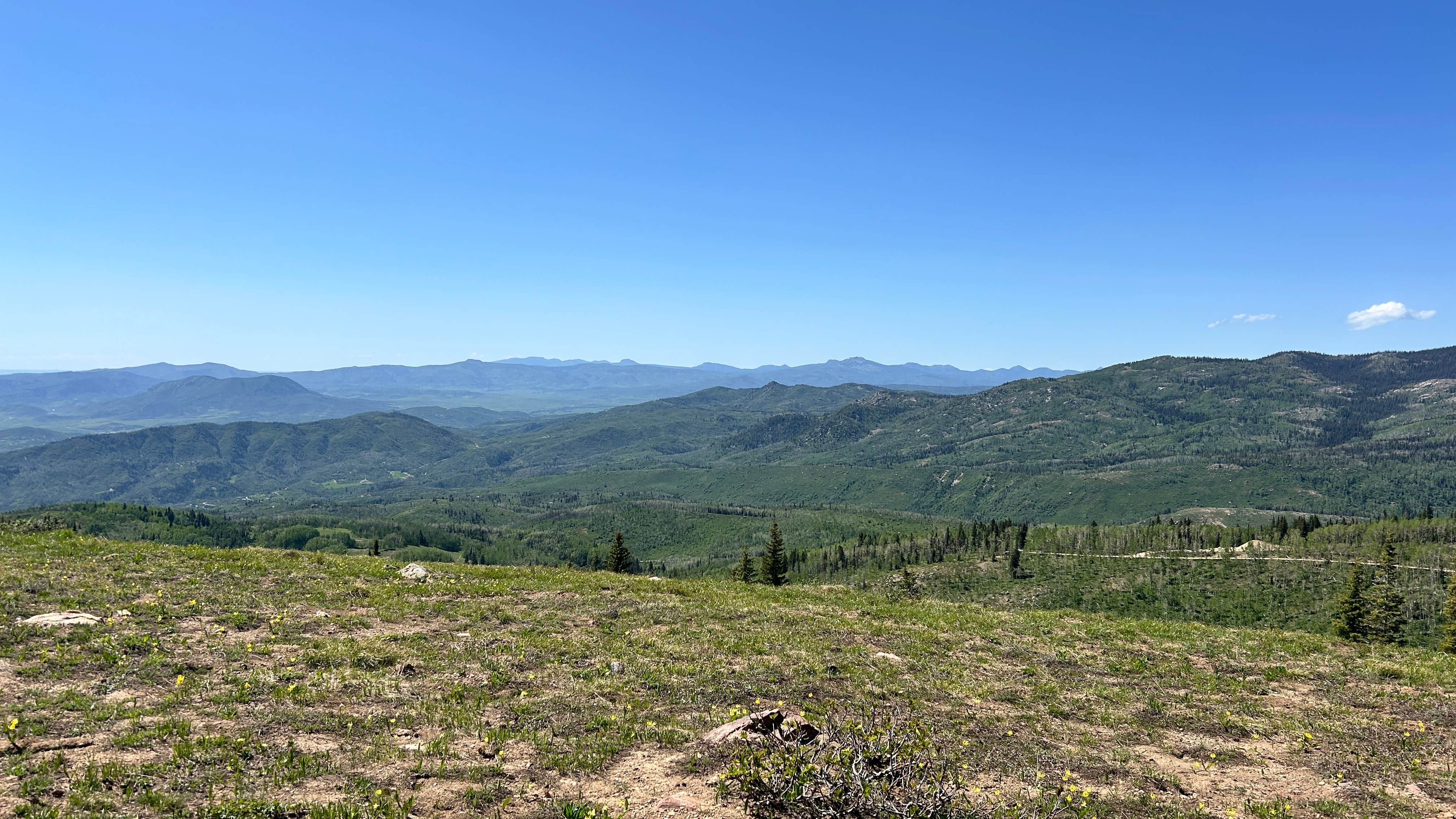Camper-submitted photo at Steamboat Springs Colorado Dispersed Camping near Coalmont, CO