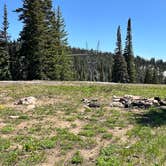 Review photo of Steamboat Springs Colorado Dispersed Camping by Tyler C., June 18, 2024