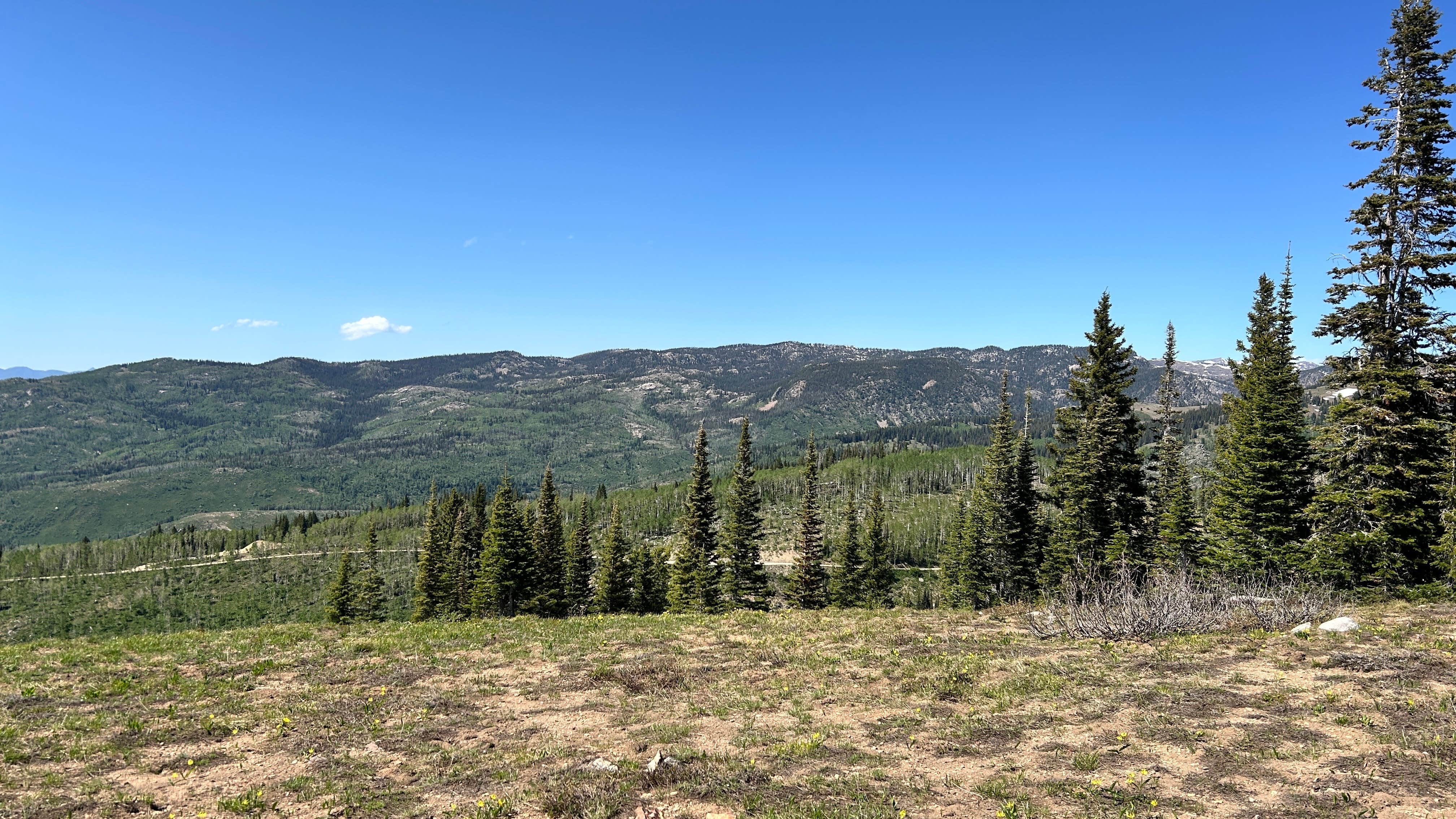 Camper-submitted photo at Steamboat Springs Colorado Dispersed Camping near Coalmont, CO