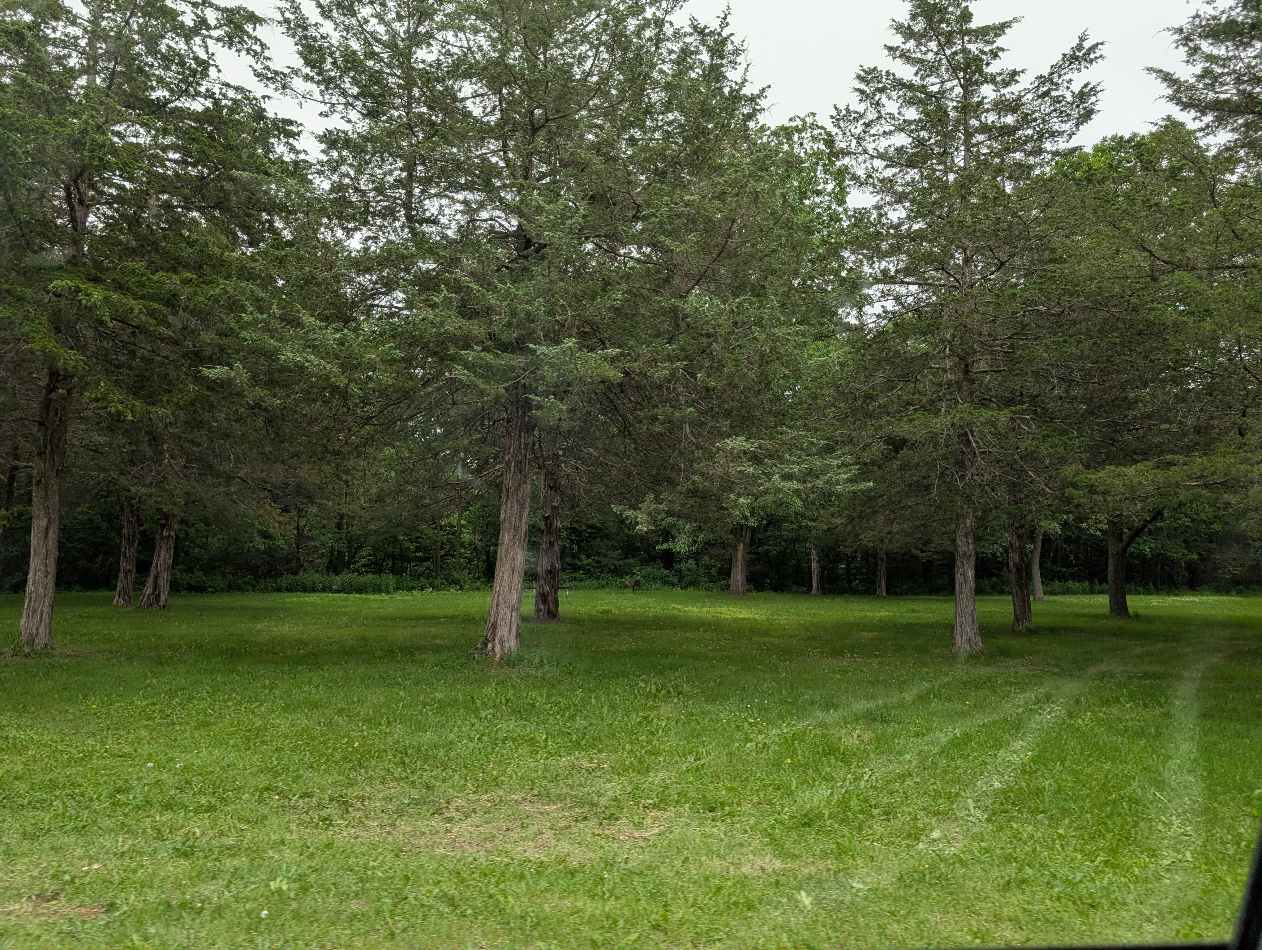 Camper-submitted photo at Mississippi River County Park near Saint Cloud, MN