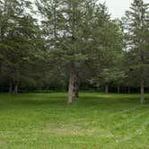 Review photo of Mississippi River County Park by Tori K., June 14, 2025