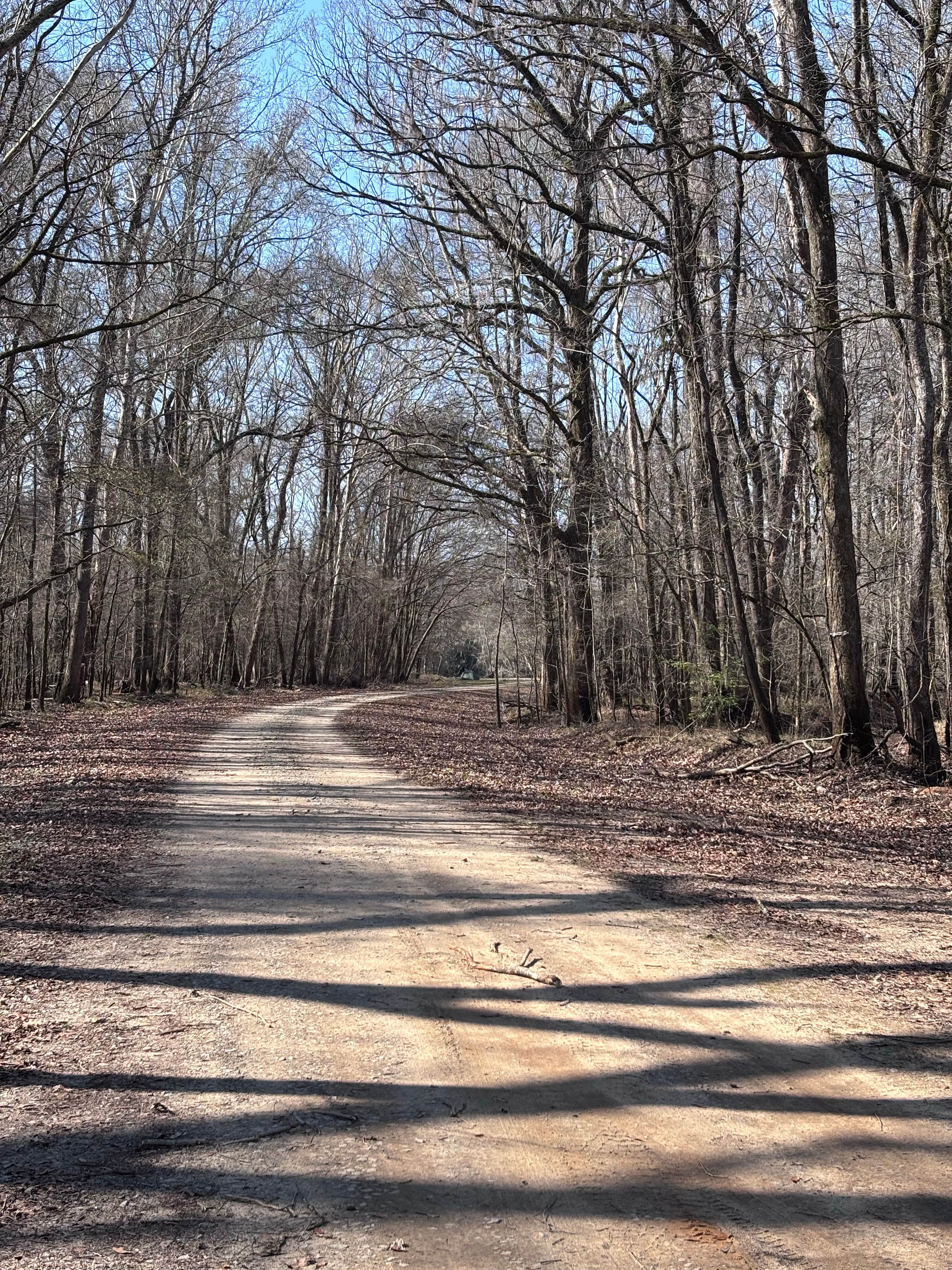 Camper-submitted photo at Steel Creek River Ramp near Barnwell, SC