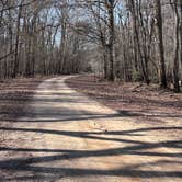 Review photo of Steel Creek River Ramp by Joseph J., March 2, 2026