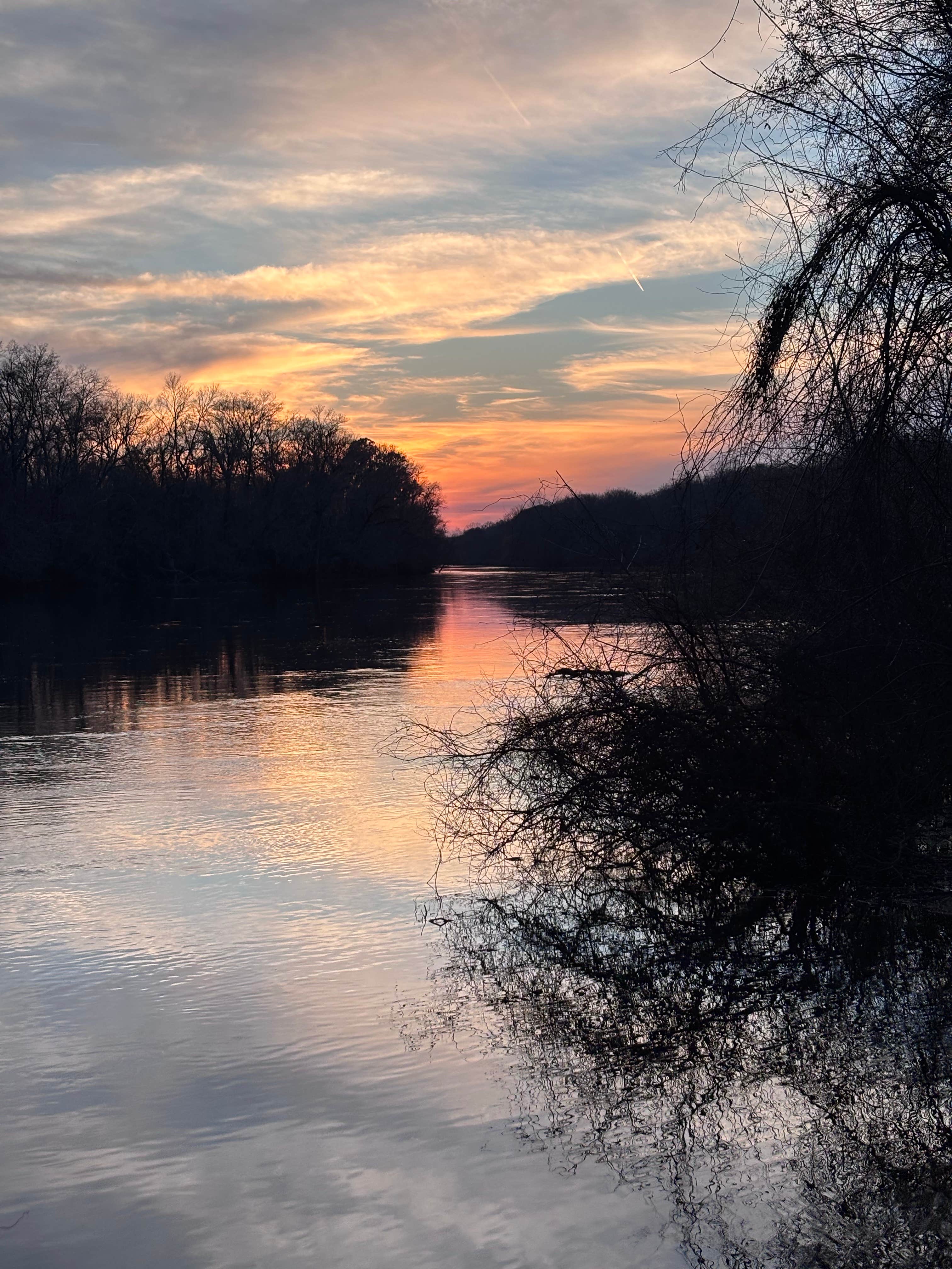 Camper-submitted photo at Steel Creek River Ramp near Barnwell, SC