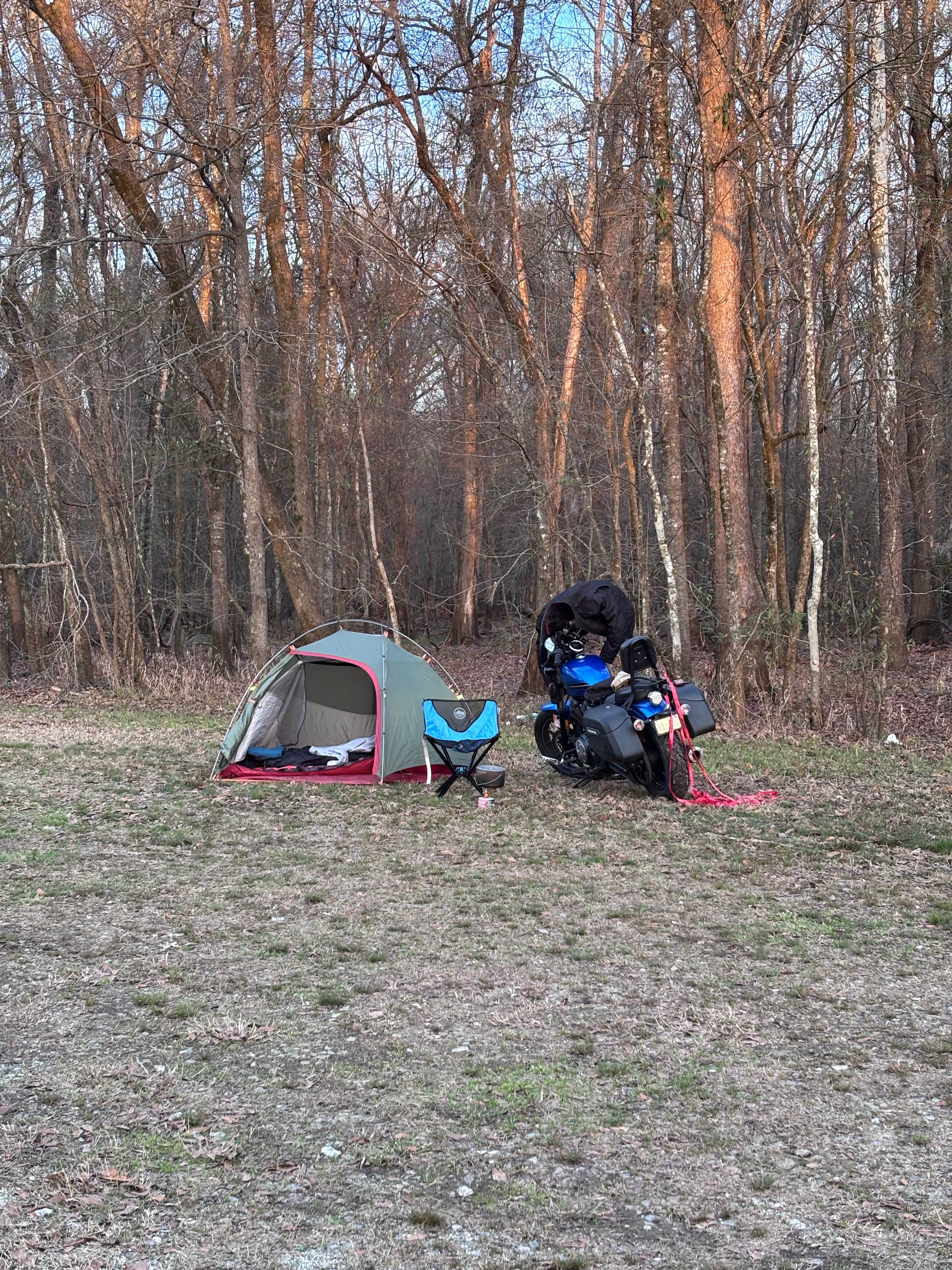 Joseph J.'s photo at Steel Creek River Ramp near Hampton, SC