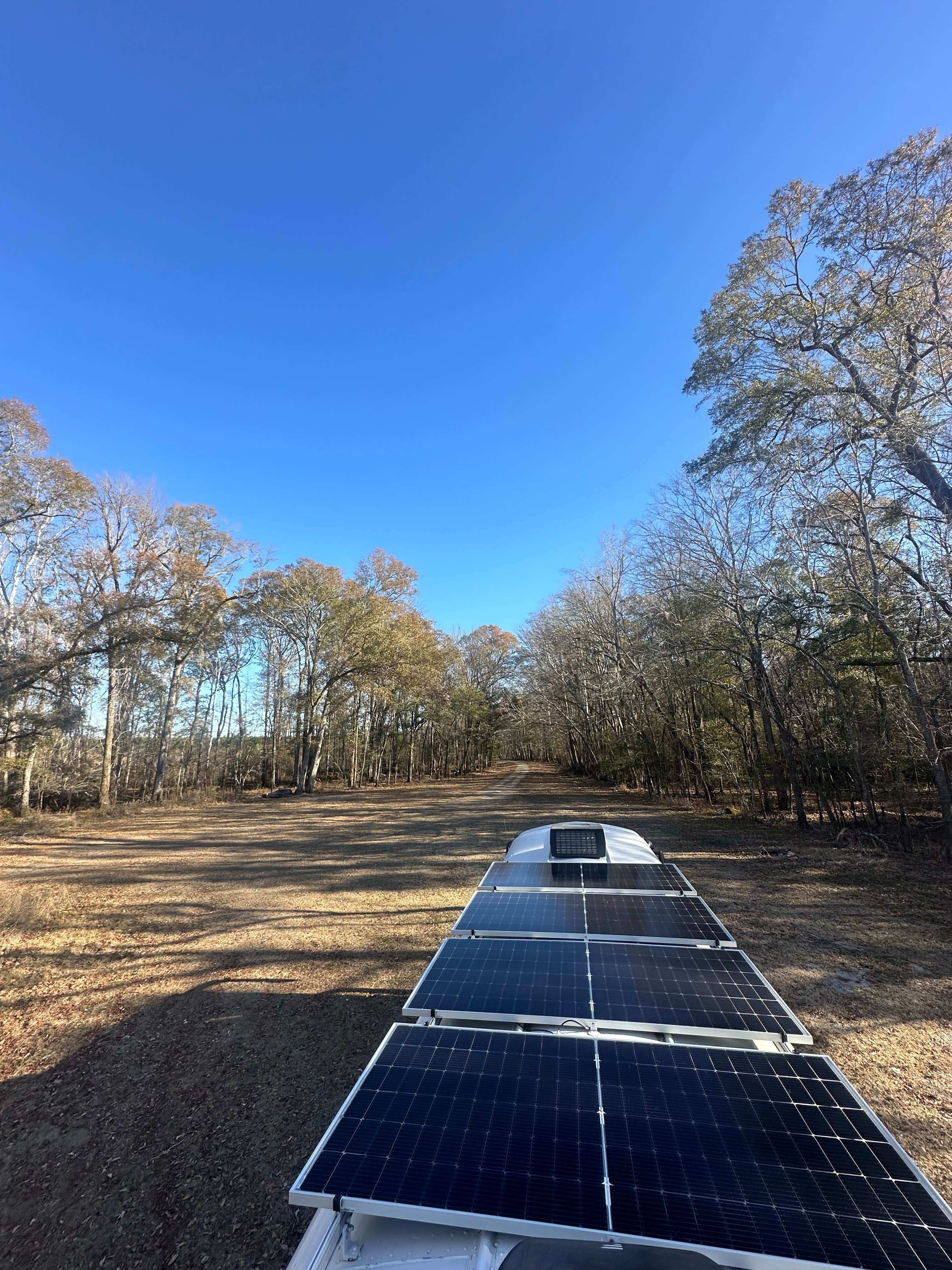 Camper-submitted photo at Steel Creek River Ramp near Barnwell, SC