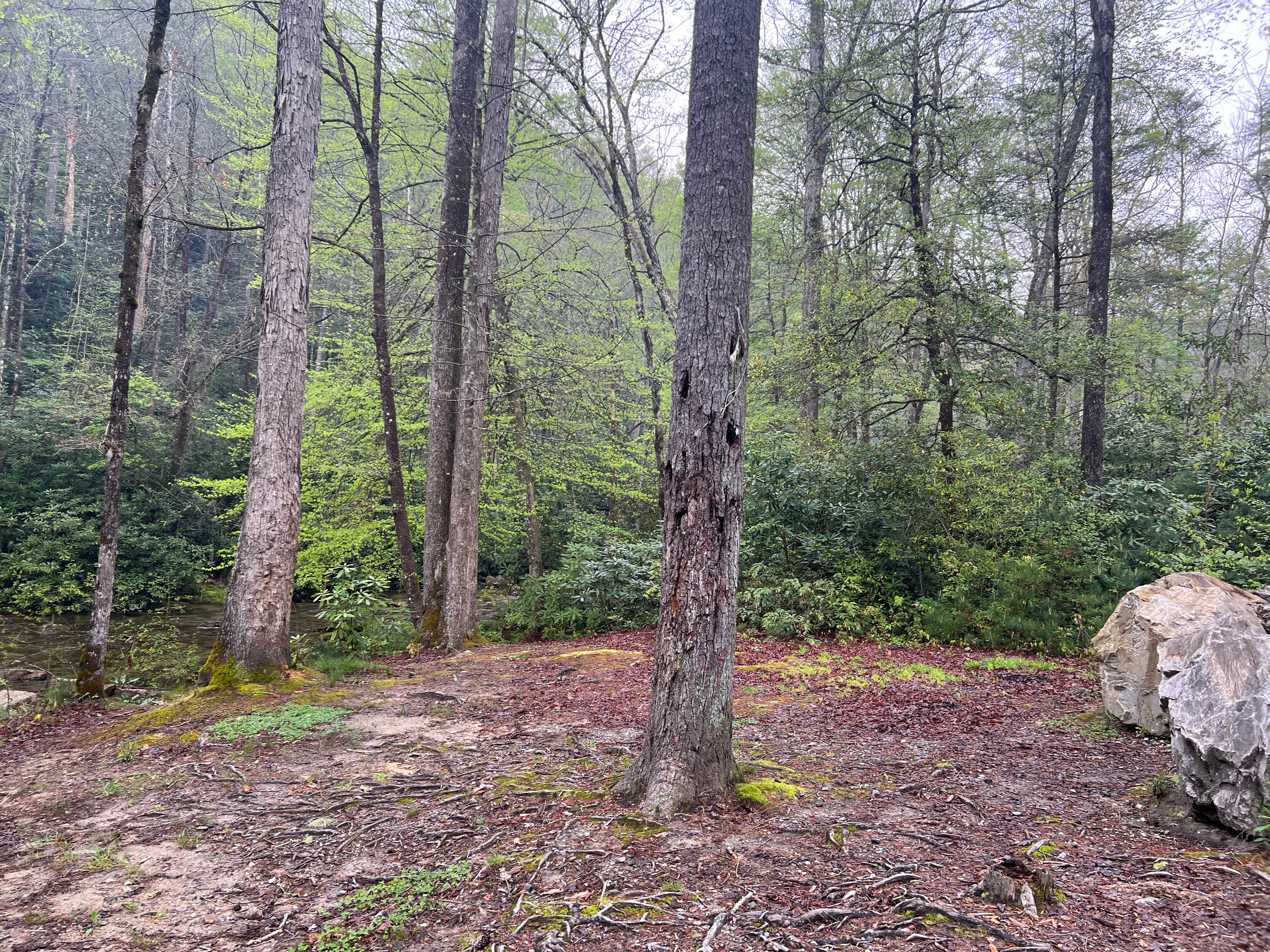 Camper-submitted photo at Steele Creek near Hays, NC