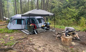 kylie B.'s photo of tent camping at Steele Creek near Newland, NC