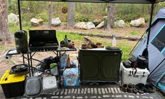 Camping near Grassy Ridge Bald - Dispersed BackCountry: Steele Creek, Jonas Ridge, North Carolina