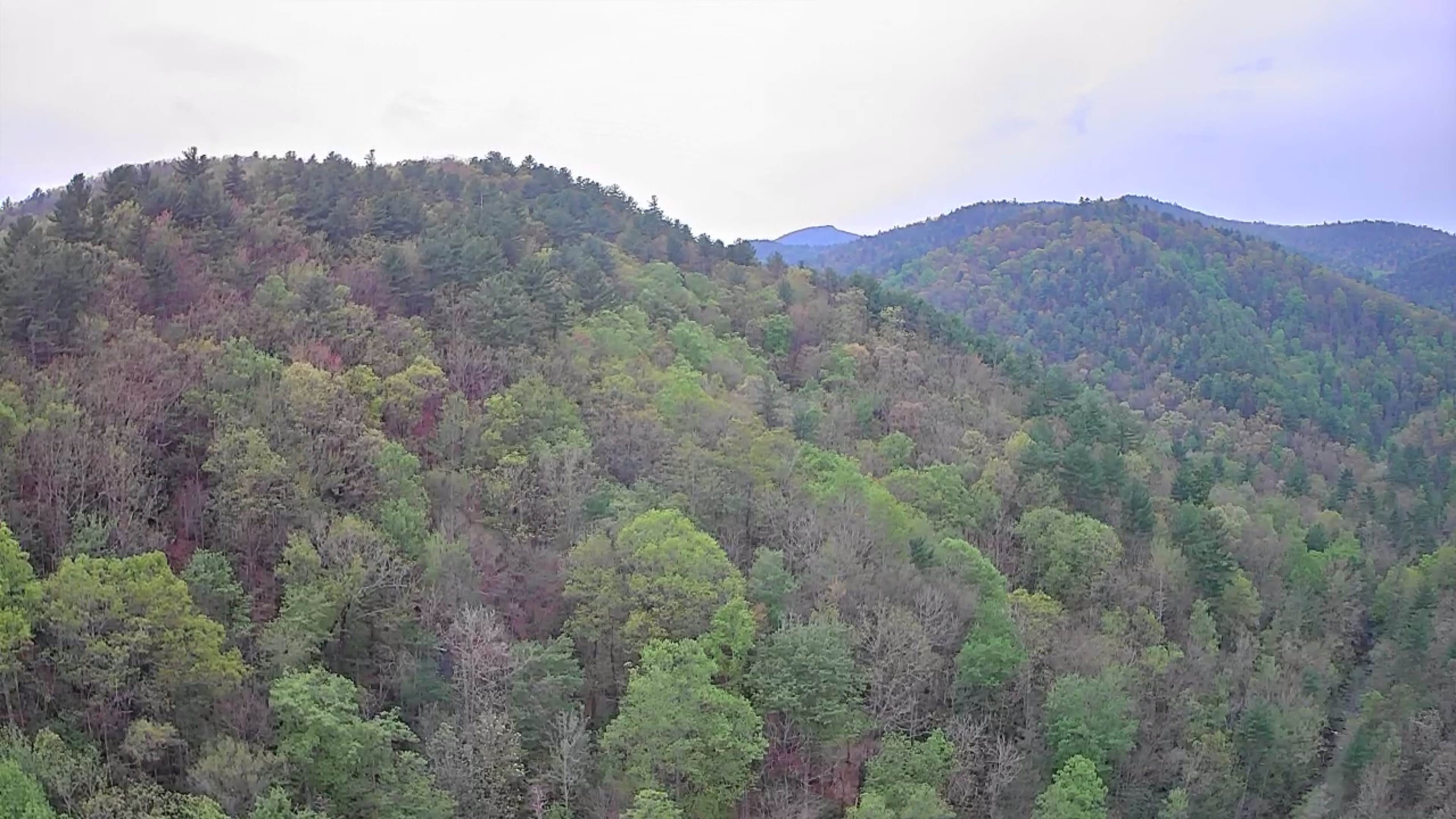 Camper-submitted photo at Steele Creek near Hays, NC
