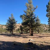 Review photo of Steelhead Falls Trailhead & Campground by Anna P., July 2, 2025