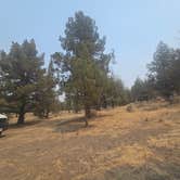 Review photo of Steelhead Falls Trailhead & Campground by Mike J., August 3, 2026