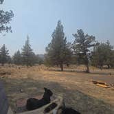 Review photo of Steelhead Falls Trailhead & Campground by Mike J., August 3, 2026