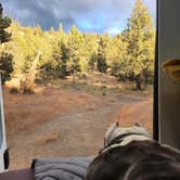 Review photo of Steelhead Falls Trailhead & Campground by Kelda C., July 17, 2024