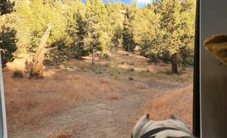 Kelda C.'s photo of camping with pets at Steelhead Falls Trailhead & Campground near Madras, OR