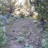 Review photo of Steens Mountain Loop Road Dispersed Campsite by Matt , May 24, 2024